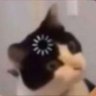 Profilbild von Hullindi