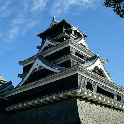 sanseito_kumamo's profile picture