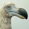 Profilbild von Khemendra