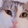 Profilbild von SM