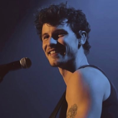 shawn mendes defender's profile picture