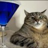 Mr ak's profile picture
