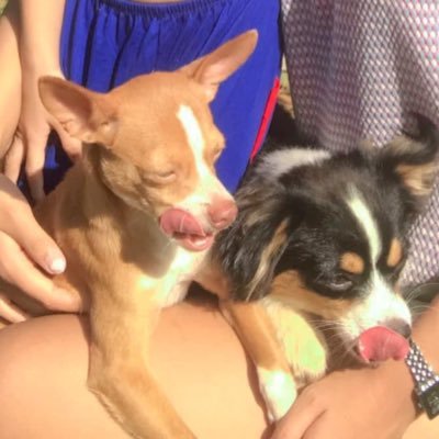 เนเธเธเธญเธ๐ฐ๐ค's profile picture
