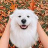 🌻 KIMCHIMIN🌻อิ่มแอมแอ้ม 🍱🥘🍛🍜🥗's profile picture