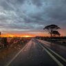 Biloela_ 的头像