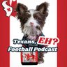 Texans, EH? profil fotoğrafı