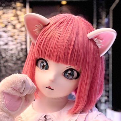 しらたまちゃん🐾's profile picture