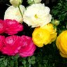 Фото профиля アメダス1号