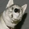 Profilbild von Jonclecab