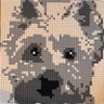 Profilbild von 2019 Nostalgia