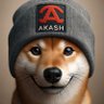 Chubbifren.eth's profile picture
