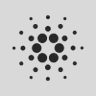 Profilbild von Cardano Foundation