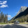 🇨🇦绝不惯着你 profil fotoğrafı