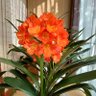 Фото профиля 土鍋