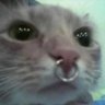 Profilbild von kiana