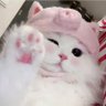 缠爱 profil fotoğrafı