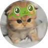 Merrygoround profil fotoğrafı