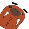 DenZ's profile picture