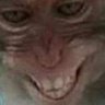 Tubacca's profile picture