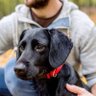 José C's profile picture