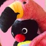 Profilbild von おからセブン