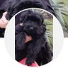 Profilbild von Die Lotte
