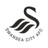 Swansea City AFC's profile picture