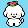 南京字母圈's profile picture