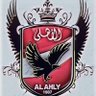 Mahmoud Safwat's profile picture
