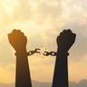Profilbild von freedom