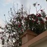 صدقه جاريه لمحمد بن ناصر 的头像