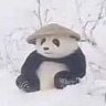แอคนั้น's profile picture