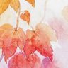 Фото профиля かれは