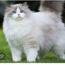 karyabhakti09 profil fotoğrafı