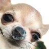 Biro&Copper's profile picture