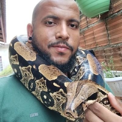 Legião Escamada 🐍🦎🐊🐢's profile picture