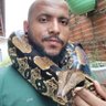 Legião Escamada 🐍🦎🐊🐢's profile picture