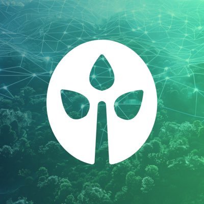OpenForest_'s profile picture