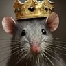 King Mouse's profile picture