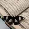 وسائـد 💝's profile picture