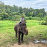 @nongpupu23 คชสารราญรอนราพณ์ (ไม่ป่วยแต่แก่)🐘's profile picture