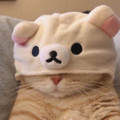 zuimeicansai's profile picture