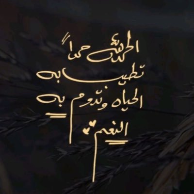 alhogaili1's profile picture