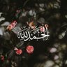 ناريمان منيسى profil fotoğrafı