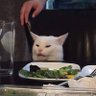 fatmanur's profile picture