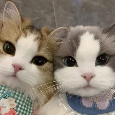 Pxxxx1999's profile picture