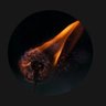 EndWokeTrash's profile picture
