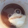 Michel's profile picture