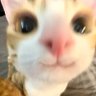 viw profil fotoğrafı
