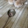 ℛ profil fotoğrafı